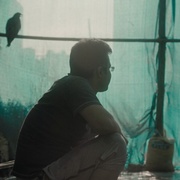 [纪录片] 生生相息 All That Breathes  [Salik Rehman/Mohammad Saud][蓝光/高清1080p/4K下载]