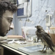 [纪录片] 生生相息 All That Breathes  [Salik Rehman/Mohammad Saud][蓝光/高清1080p/4K下载]