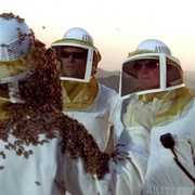 [犯罪/喜剧] 神探阿蒙  第四季 Monk Season 4  [托尼·夏尔赫布/特蕾勒·霍华德][蓝光/高清1080p/4K下载]