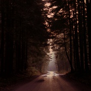 [惊悚/犯罪] 双峰  第二季 Twin Peaks Season 2  [凯尔·麦克拉克伦/迈克尔·昂吉恩][蓝光/高清1080p/4K下载]