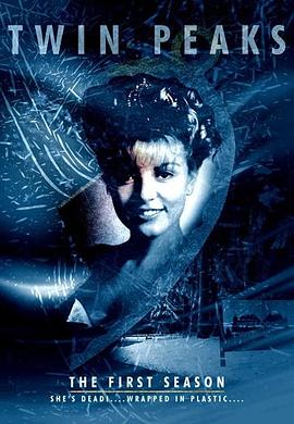 [惊悚/犯罪] 双峰 第一季 Twin Peaks Season 1  [凯尔·麦克拉克伦/梅晨·阿米克][蓝光/高清1080p/4K下载]
