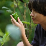 [剧情] 天狗的厨房 第二季 天狗の台所 Season2  [驹木根葵汰/盐野瑛久][蓝光/高清1080p/4K下载]