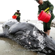 [喜剧/科幻] 外星居民 第四季 Resident Alien Season 4  [艾伦·图代克/萨拉·汤科][蓝光/高清1080p/4K下载]