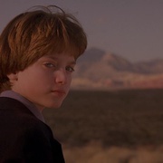 [惊悚] 危险小天使 The Good Son  [麦考利·卡尔金/伊利亚·伍德][蓝光/高清1080p/4K下载]