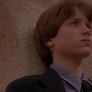 [惊悚] 危险小天使 The Good Son  [麦考利·卡尔金/伊利亚·伍德][蓝光/高清1080p/4K下载]