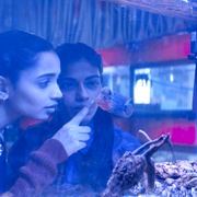 [犯罪/同性] 无耻之徒 The Shameless  [阿纳苏亚·森古普塔/Omara][蓝光/高清1080p/4K下载]