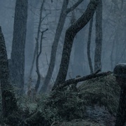 [战争/历史] 无名战士 Tuntematon sotilas  [伊诺·阿霍/约翰内斯·霍洛佩宁][蓝光/高清1080p/4K下载]