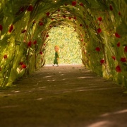 [动画/奇幻] 小王子 Le Petit Prince  [杰夫·布里吉斯/麦肯吉·弗依][蓝光/高清1080p/4K下载]