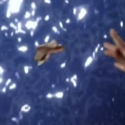 [动作/冒险] 星际之门 SG-1    第四季 Stargate SG-1 Season 4  [Richard Dean Anderson/Amanda Tapping][蓝光/高清1080p/4K下载]