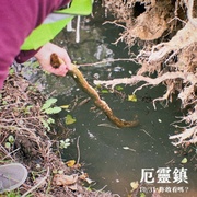 [恐怖/惊悚] 寻踪迷镇 Shelby Oaks  [卡米尔·苏利文/凯斯·大卫][蓝光/高清1080p/4K下载]