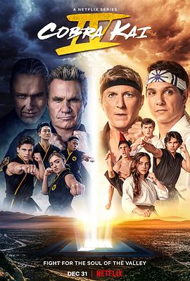 [动作/运动] 眼镜蛇 第四季 Cobra Kai Season 4  [拉尔夫·马基奥/威廉.泽布卡][蓝光/高清1080p/4K下载]