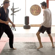 [动作/喜剧] 眼镜蛇 第一季 Cobra Kai Season 1  [拉尔夫·马基奥/威廉.泽布卡][蓝光/高清1080p/4K下载]