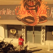 [动作/喜剧] 眼镜蛇 第一季 Cobra Kai Season 1  [拉尔夫·马基奥/威廉.泽布卡][蓝光/高清1080p/4K下载]