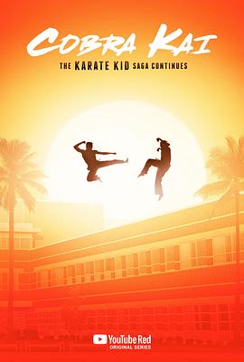 [动作/喜剧] 眼镜蛇 第一季 Cobra Kai Season 1  [拉尔夫·马基奥/威廉.泽布卡][蓝光/高清1080p/4K下载]