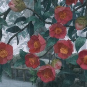 [喜剧/动画] 妖精森林的小不点 ハクメイとミコチ  [松田利冴/下地紫野][蓝光/高清1080p/4K下载]