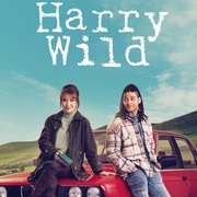 [犯罪/悬疑] 野探哈莉 第三季 Harry Wild Season 3  [简·西摩][蓝光/高清1080p/4K下载]