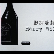 [犯罪/悬疑] 野探哈莉 第三季 Harry Wild Season 3  [简·西摩][蓝光/高清1080p/4K下载]