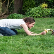 [喜剧] 永远十六岁 Laggies  [凯拉·奈特莉/科洛·莫瑞兹][蓝光/高清1080p/4K下载]