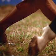 [纪录片] 又快又贱又失控 Fast, Cheap & Out of Control  [Dave Hoover/George Mendonça][蓝光/高清1080p/4K下载]