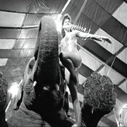 [纪录片] 又快又贱又失控 Fast, Cheap & Out of Control  [Dave Hoover/George Mendonça][蓝光/高清1080p/4K下载]