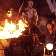 [动作] 中华战士 中華戰士  [杨紫琼/尔冬升][蓝光/高清1080p/4K下载]