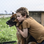 [剧情] 忠犬帕尔玛 Пальма  [莉莉/列昂尼德·巴索夫][蓝光/高清1080p/4K下载]