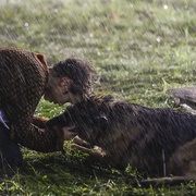 [剧情] 忠犬帕尔玛 Пальма  [莉莉/列昂尼德·巴索夫][蓝光/高清1080p/4K下载]