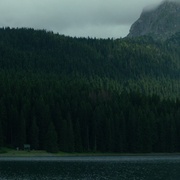 [恐怖] 自杀森林 The Forest  [娜塔莉·多默尔/泰勒·金尼][蓝光/高清1080p/4K下载]