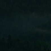 [恐怖] 自杀森林 The Forest  [娜塔莉·多默尔/泰勒·金尼][蓝光/高清1080p/4K下载]