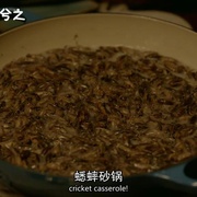 [动作/喜剧] 最后一个男人 第二季 The Last Man On Earth Season 2  [威尔·福特/克里斯汀·沙尔][蓝光/高清1080p/4K下载]