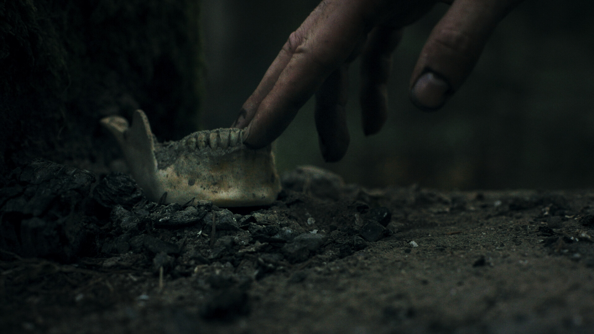 幽林深处 Heart of the Forest|官方中文|Build.21680876|解压即撸|