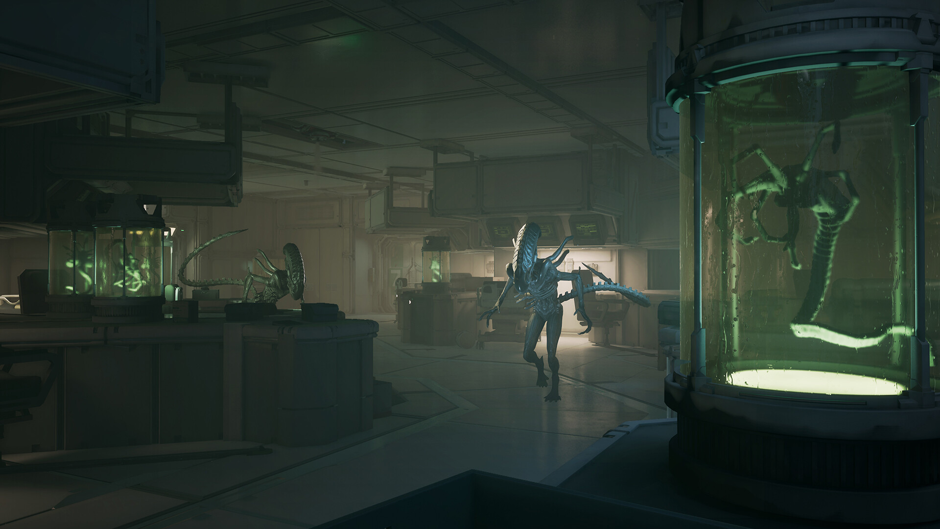 异形 盗贼入侵进化|豪华中文|Build.21805244+全DLC+预购奖励|解压即撸|