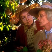 [剧情] 八月的鲸鱼 The Whales of August  [贝蒂·戴维斯/丽莲·吉许][蓝光/高清1080p/4K下载]