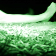 [犯罪/恐怖] 波基普西录像带 The Poughkeepsie Tapes  [斯蒂芬·卓博斯基/Ben Messmer][蓝光/高清1080p/4K下载]