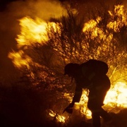 [犯罪] 大火将至 O Que Arde  [Amador Arias/贝内迪克达·桑切斯][蓝光/高清1080p/4K下载]