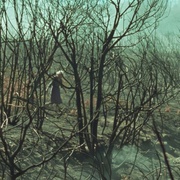 [犯罪] 大火将至 O Que Arde  [Amador Arias/贝内迪克达·桑切斯][蓝光/高清1080p/4K下载]