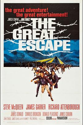 [历史/冒险] 大逃亡 The Great Escape  [史蒂夫·麦奎因/詹姆斯·加纳][蓝光/高清1080p/4K下载]