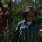 [喜剧/奇幻] 豆田战役 The Milagro Beanfield War  [卢宾·布雷兹/理查德·布拉德福德][蓝光/高清1080p/4K下载]