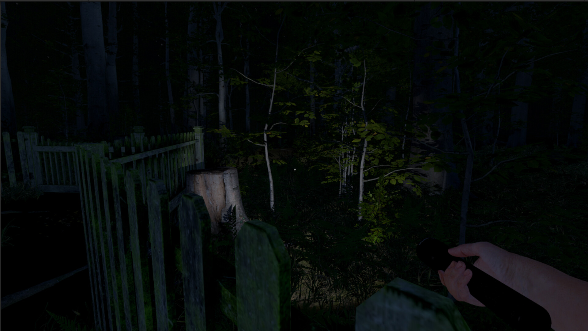 灰人:人类绑架 Build.20258528(The Greys Human Abductions)免安装中文版