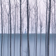 [剧情] 恩典 La grazia  [托尼·塞尔维洛/安娜·费泽蒂][蓝光/高清1080p/4K下载]