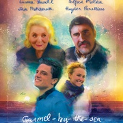 [剧情] 仿造者 The Forger  [海顿·潘妮蒂尔/乔什·哈切森][蓝光/高清1080p/4K下载]