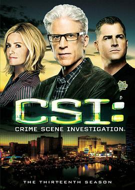[犯罪] 犯罪现场调查 第十三季 CSI: Crime Scene Investigation Season 13  [特德·丹森/乔治·艾德斯][蓝光/高清1080p/4K下载]