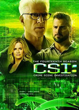 [犯罪/悬疑] 犯罪现场调查 第十四季 CSI: Crime Scene Investigation Season 14  [特德·丹森/乔治·艾德斯][蓝光/高清1080p/4K下载]