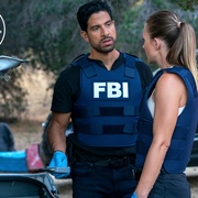 [惊悚/犯罪] 犯罪心理：演变 第十六季 Criminal Minds: Evolution Season 16  [乔·曼特纳/帕姬·布鲁斯特][蓝光/高清1080p/4K下载]