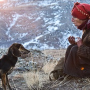 [纪录片] 蜂蜜之地 Медена земја  [哈蒂兹·穆拉托娃/纳齐夫·穆拉托娃][蓝光/高清1080p/4K下载]