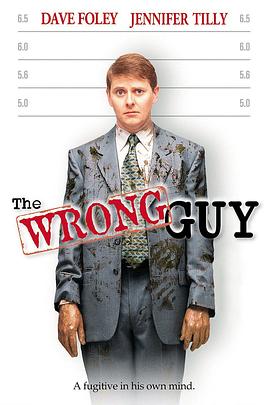 [爱情/惊悚] 搞错人 The Wrong Guy  [戴夫·弗利/詹妮弗·提莉][蓝光/高清1080p/4K下载]