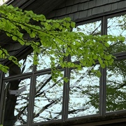 [纪录片] 宫崎骏与苍鹭 宮﨑駿と青サギと… ～「君たちはどう生きるか」への道～  [宫崎骏/铃木敏夫][蓝光/高清1080p/4K下载]