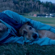 [喜剧] 狗的审判 Le procès du chien  [科迪/利蒂希亚·多施][蓝光/高清1080p/4K下载]