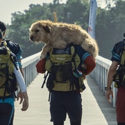 [冒险] 冠军亚瑟 Arthur the King  [马克·沃尔伯格/刘思慕][蓝光/高清1080p/4K下载]