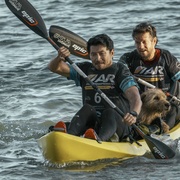 [冒险] 冠军亚瑟 Arthur the King  [马克·沃尔伯格/刘思慕][蓝光/高清1080p/4K下载]